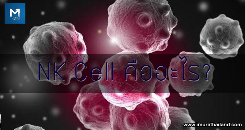 NK CELL nkcell I.M.U.RA WWW IMURATAILAND