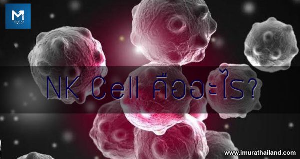 NK Cell คืออะไร?